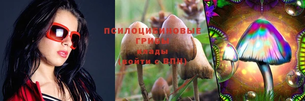 дурь Надым