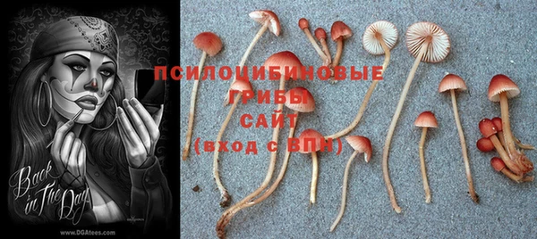 дурь Надым
