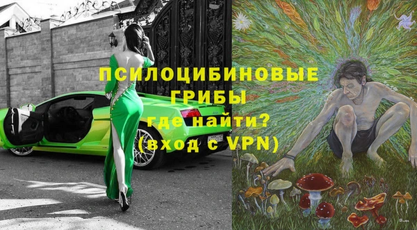 дурь Надым
