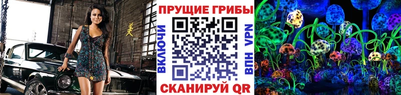 Купить закладки Собинка Псилоцибиновые грибы MAGIC MUSHROOMS